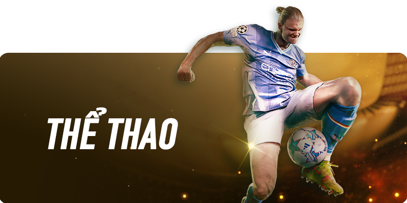 banner-the-thao