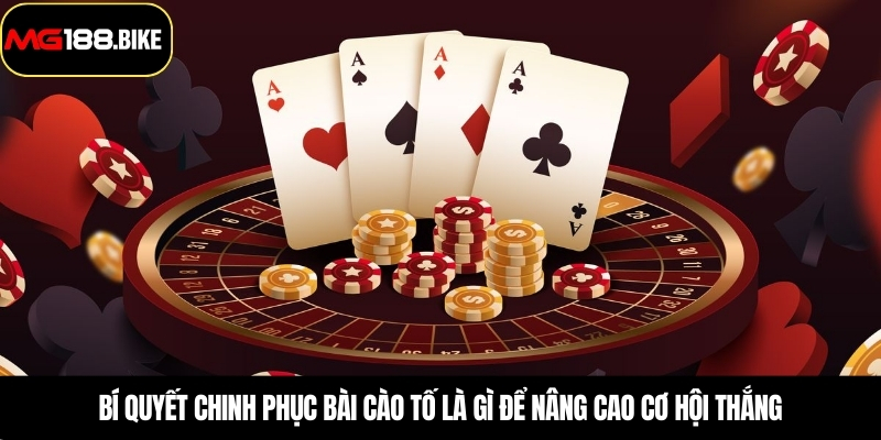 Bí quyết chinh phục bài cào tố là gì để nâng cao cơ hội thắng