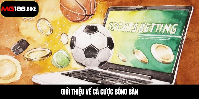 Giới thiệu về cá cược bóng bàn