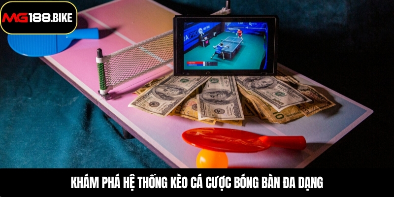 Khám phá hệ thống kèo cá cược bóng bàn đa dạng