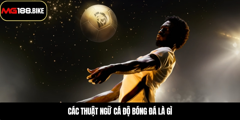 Các thuật ngữ cá độ bóng đá là gì