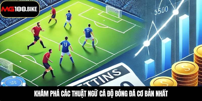 Khám phá các thuật ngữ cá độ bóng đá cơ bản nhất