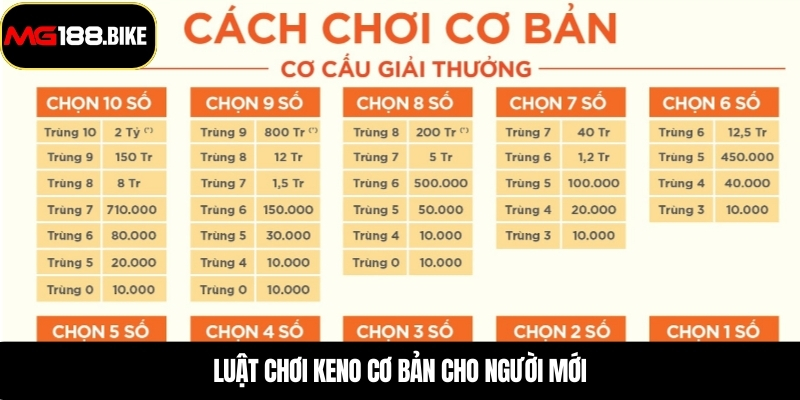 Luật chơi Keno cơ bản cho người mới