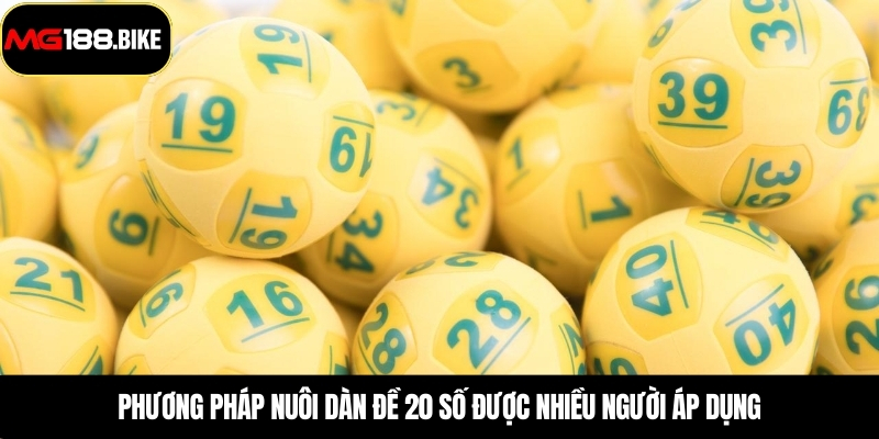 Phương pháp nuôi dàn đề 20 số được nhiều người áp dụng