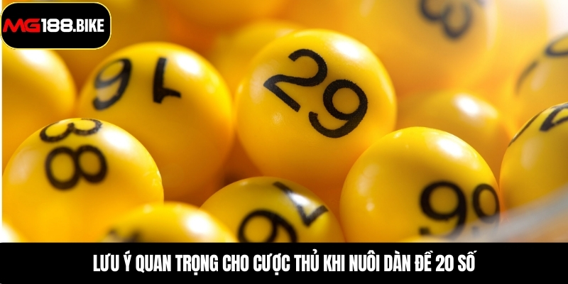 Lưu ý quan trọng cho cược thủ khi nuôi dàn đề 20 số