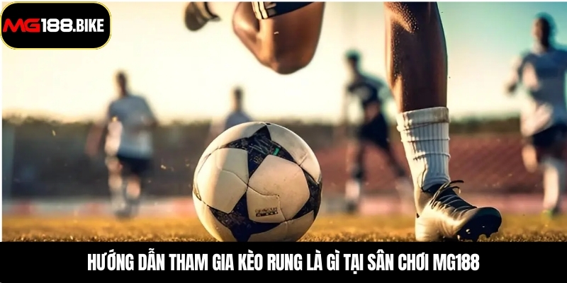 Hướng dẫn tham gia kèo rung là gì tại sân chơi MG188
