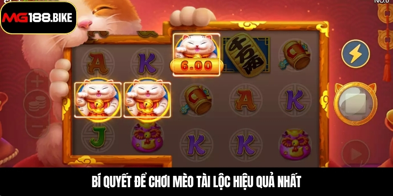 Bí quyết để chơi mèo tài lộc hiệu quả nhất